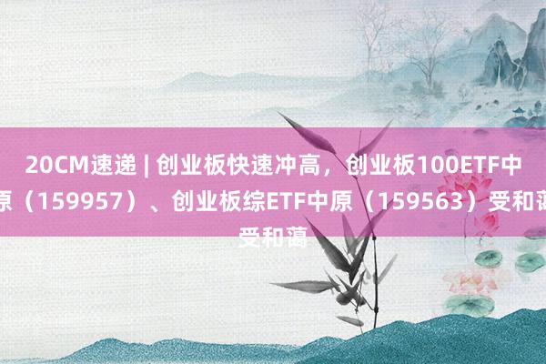 20CM速递 | 创业板快速冲高，创业板100ETF中原（159957）、创业板综ETF中原（159563）受和蔼