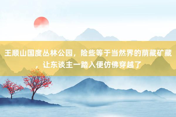 王顺山国度丛林公园，险些等于当然界的荫藏矿藏，让东谈主一踏入便仿佛穿越了